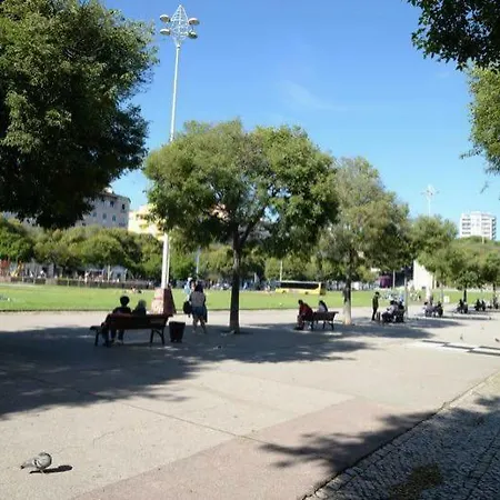 Sunny Center